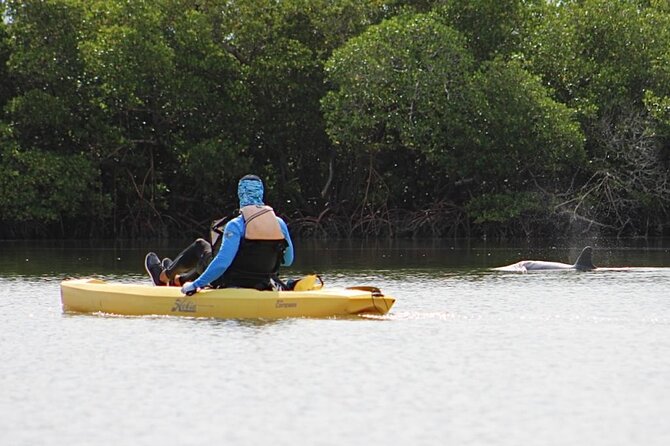 Easy Ride Pedal Kayak Tour Marco Island & Naples (Pedal or Paddle - Wildlife: rewarding, but never promised