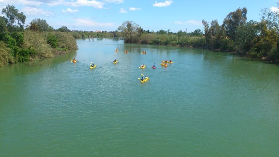 Ebro Delta: Guided Kayak Tour to Gracia Island - Key points before you book