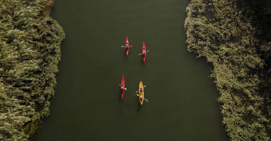 Ebro Delta: Guided Kayak Tour to Gracia Island - Starting in Balada beside the Ebro