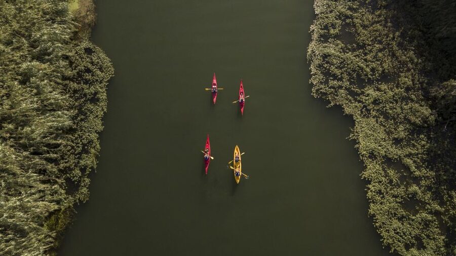 Ebro Delta: Guided Kayak Tour to Gracia Island - Circling Gracia Island at river level