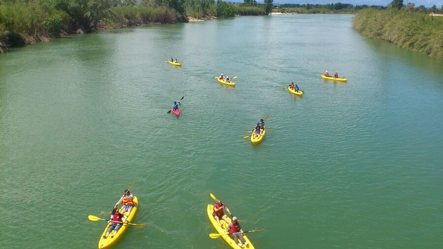 Ebro Delta: Guided Kayak Tour to Gracia Island - The Ebro Delta from a kayak