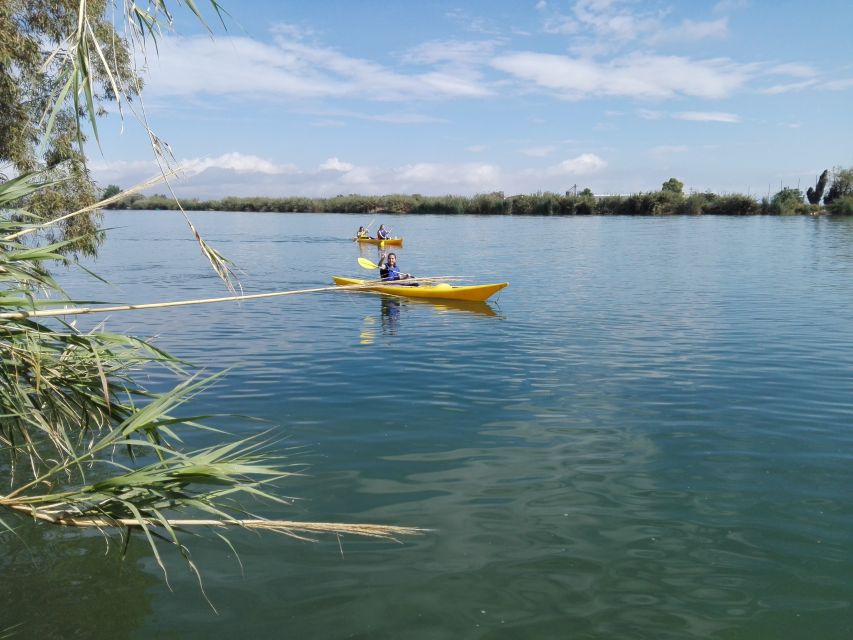 Ebro Delta: Guided Kayak Tour to Gracia Island - What the guide adds to the day