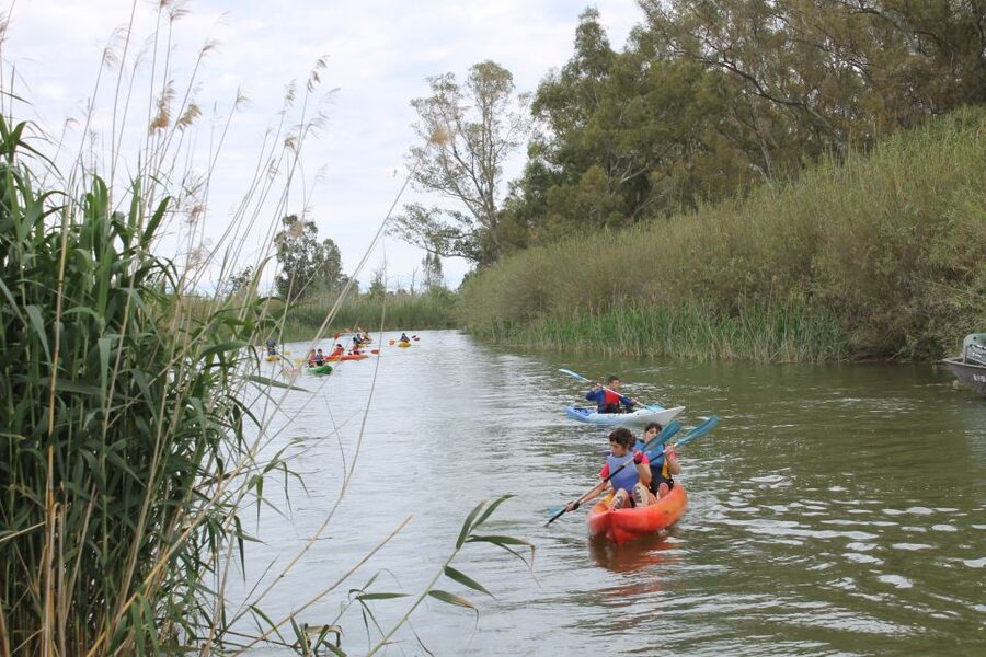 Ebro Delta: Guided Kayak Tour to Gracia Island - Who will enjoy this paddle most?