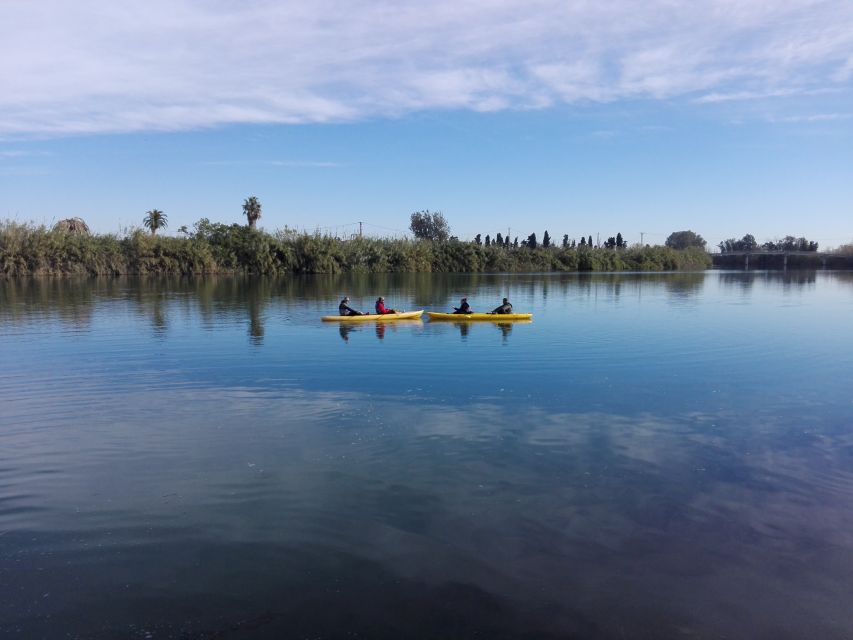 Ebro Delta: Guided Kayak Tour to Gracia Island - Paddling toward Gracia Island
