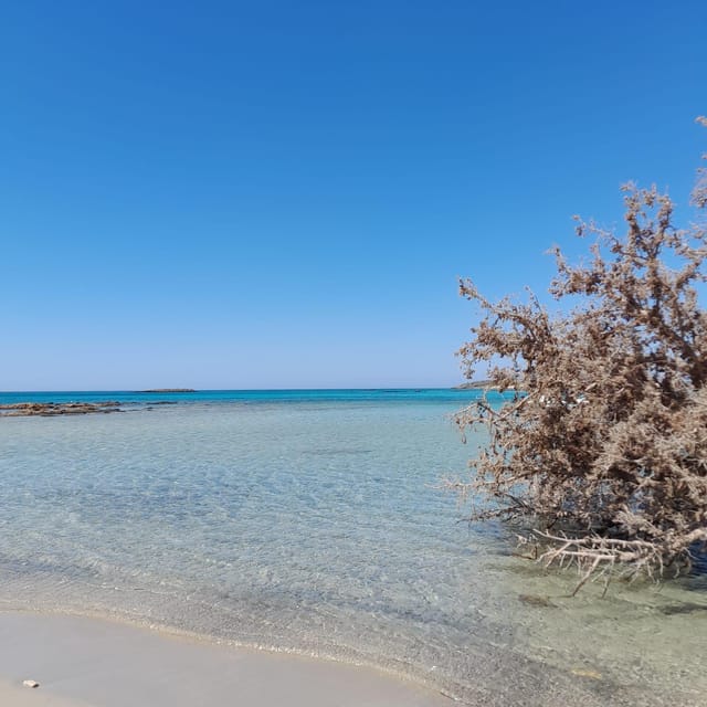 Elafonissi: Private Beach Day Trip with SUP - Drawbacks you should weigh before booking