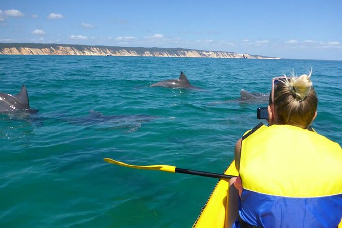 Epic Kayak With Dolphins & Wildlife - 4WD Beach Adventure Noosa - Key points at a glance