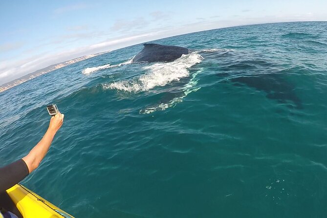 Epic Kayak With Dolphins & Wildlife - 4WD Beach Adventure Noosa - Arriving at Double Island Point
