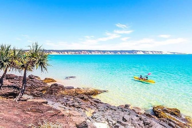 Epic Kayak With Dolphins & Wildlife - 4WD Beach Adventure Noosa - The guides make a real difference
