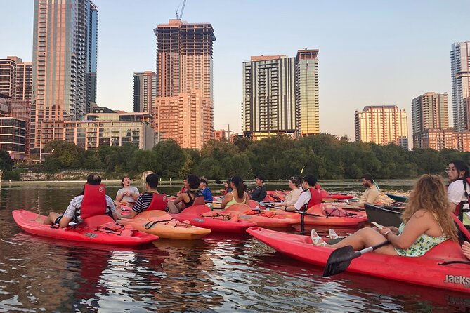 Evening Bat Watching Kayak Tour - Key points to know before you book