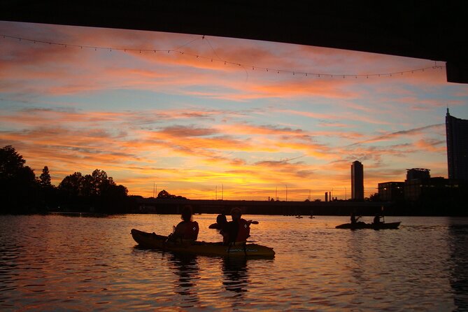 Evening Bat Watching Kayak Tour - Who will enjoy this most