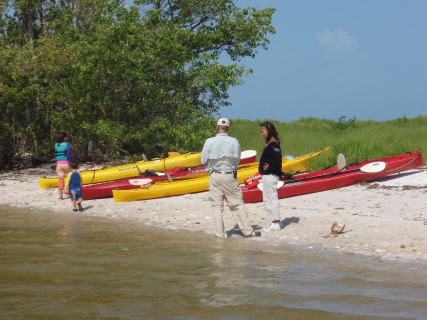 Everglades: Boat Assisted Kayak Eco Tour - Key points to know before booking