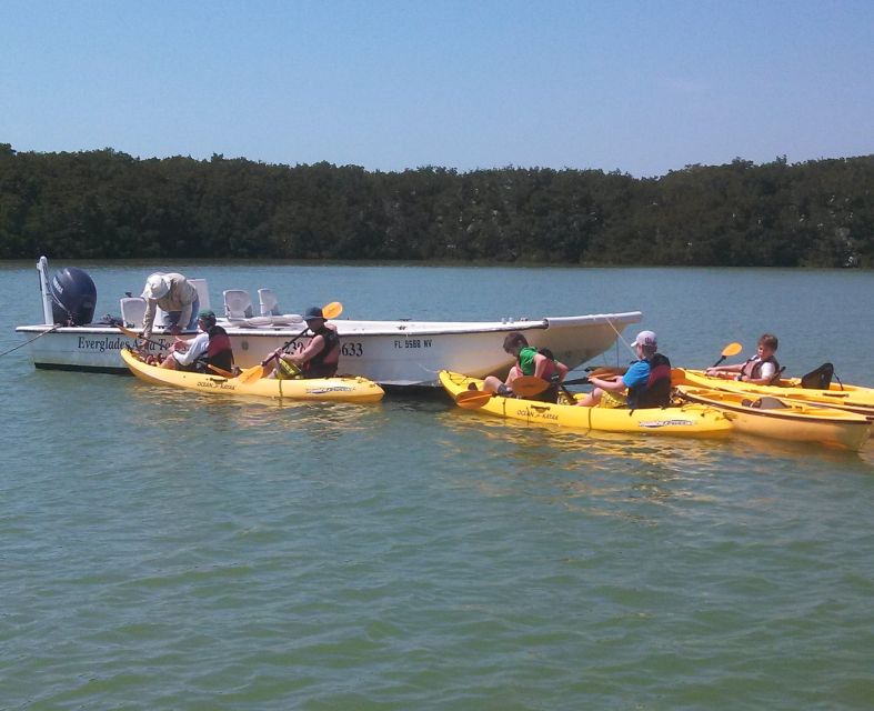 Everglades: Boat Assisted Kayak Eco Tour - A small-group tour with room to adjust