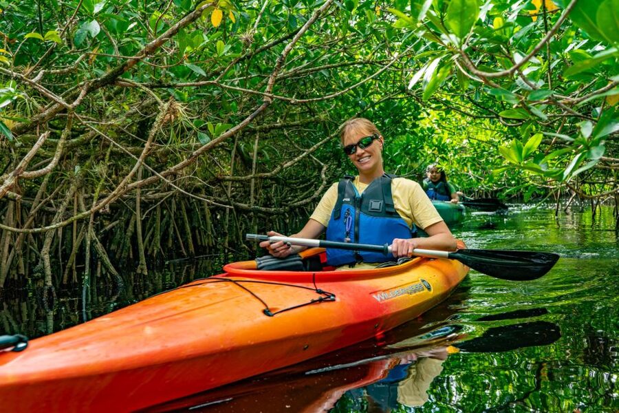 Everglades City: Guided Kayaking Tour and Airboat Ride - Why this kayak and airboat combination works