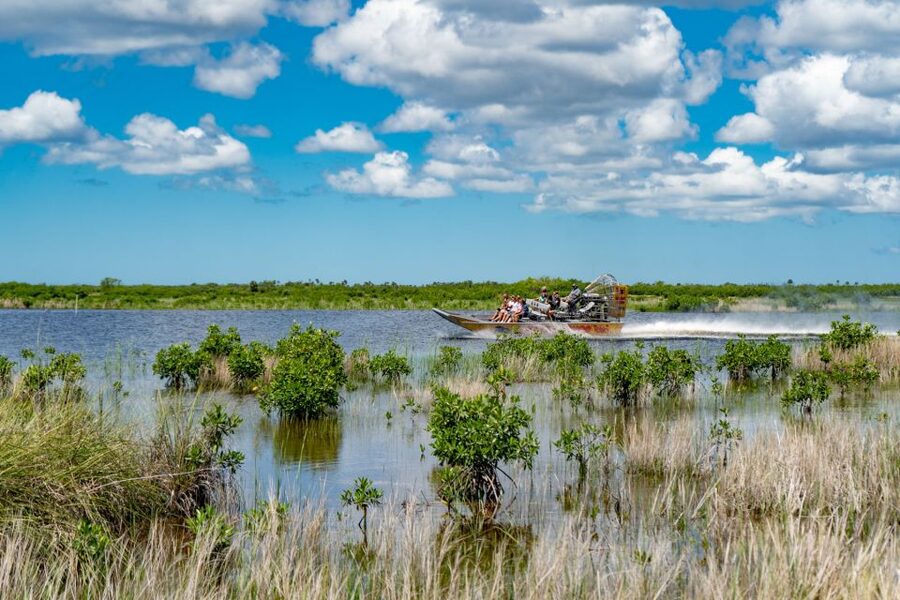 Everglades City: Guided Kayaking Tour and Airboat Ride - A short walk on the Everglades City Boardwalk