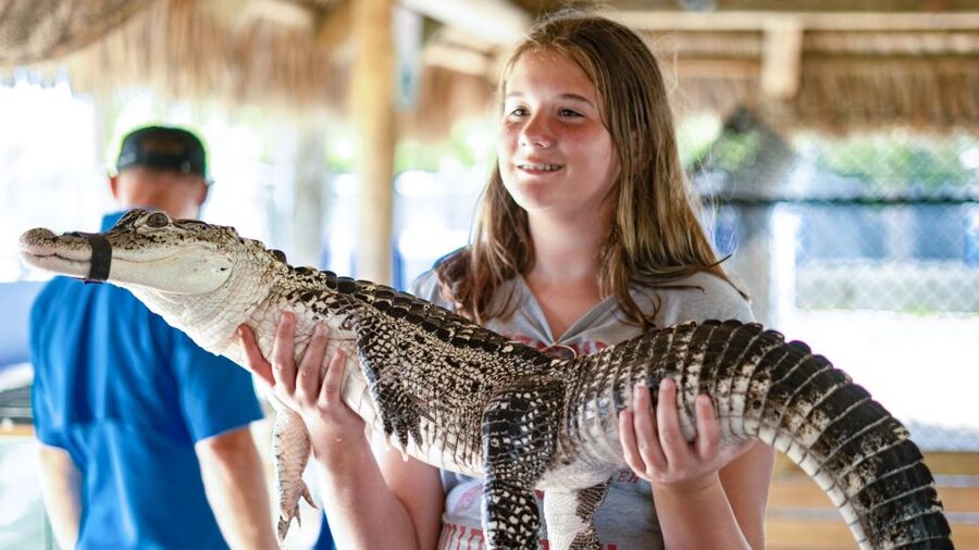Everglades City: Guided Kayaking Tour and Airboat Ride - Wildlife, weather, and realistic expectations
