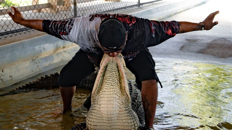 Everglades City: Guided Kayaking Tour and Airboat Ride - Booking, cancellations, and small planning details