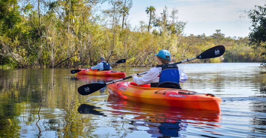 Everglades City: Guided Kayaking Tour of the Wetlands - Paddling into the Everglades wetlands