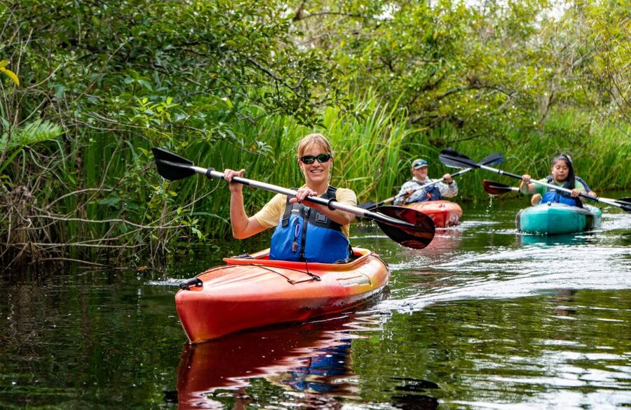 Everglades City: Guided Kayaking Tour of the Wetlands - Who should book this kayaking trip?