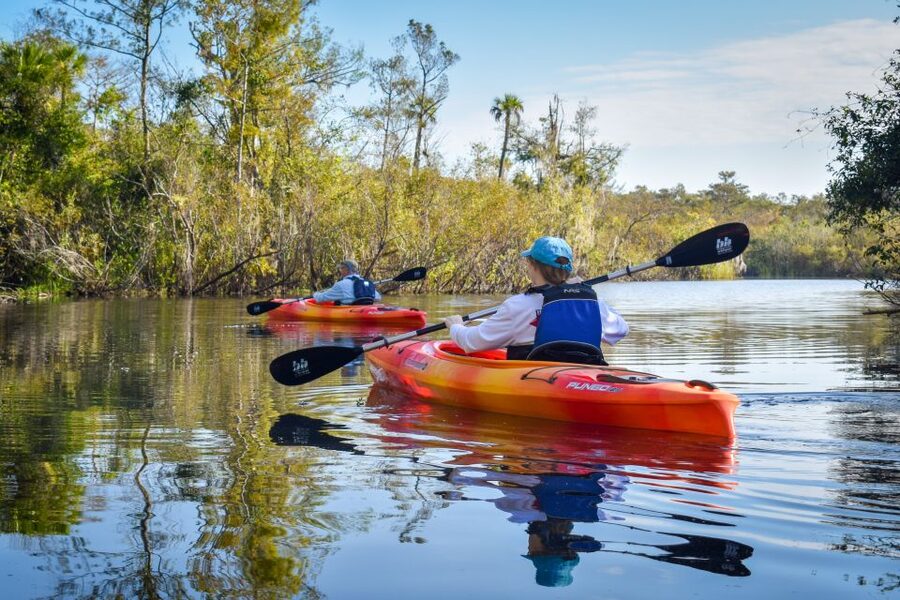 Everglades City: Guided Kayaking Tour of the Wetlands - A calm start with basic paddling instruction