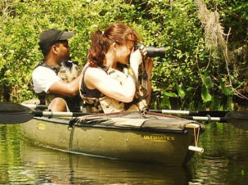 Everglades: Everglades Alligators and Orchids Kayak Eco Tour - Is $130 a fair price?