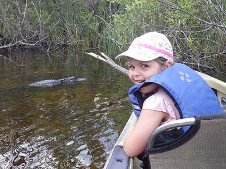 Everglades: Everglades Alligators and Orchids Kayak Eco Tour - Who should book this Everglades kayak tour?