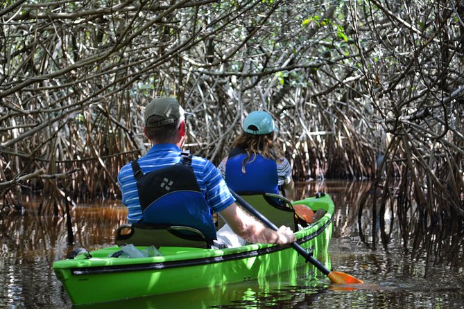 Everglades Kayak Safari Adventure Through Mangrove Tunnels - Why the Turner River makes a fine kayak route
