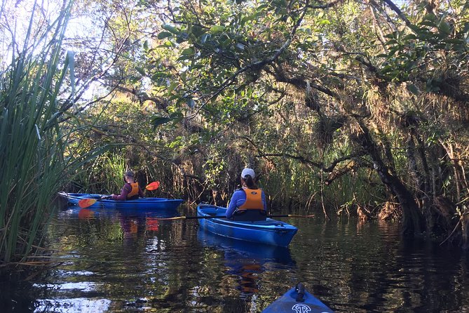 Everglades Kayak Safari Adventure Through Mangrove Tunnels - Paddling through mangrove tunnels
