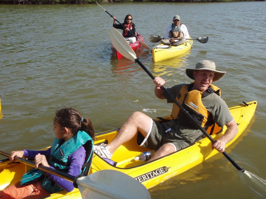 Everglades National Park 3-Hour Kayak Eco Tour - Reaching the Everglades from Chokoloskee Island