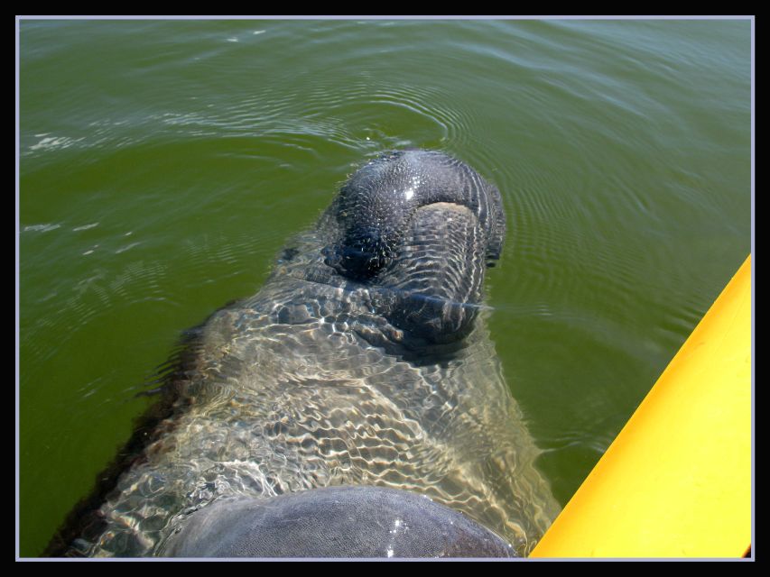 Everglades National Park 3-Hour Kayak Eco Tour - How the changing route shapes the experience