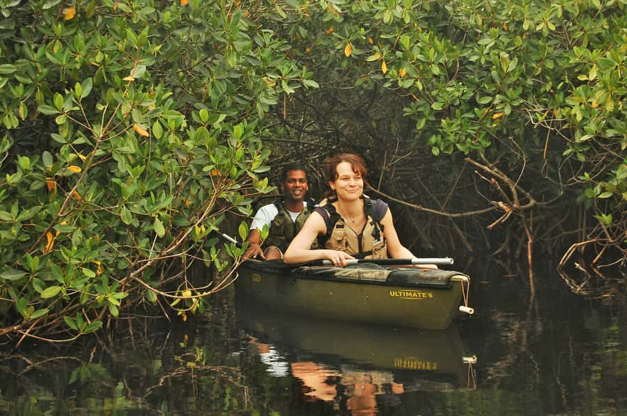 Everglades National Park: Mangrove Tunnel Kayak Eco-Tour - Key points before you book