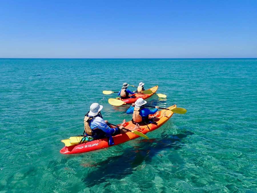 Exmouth: Half Day Turtle Kayak & Snorkel Tour - A quiet start in the Bundegi Sanctuary Zone
