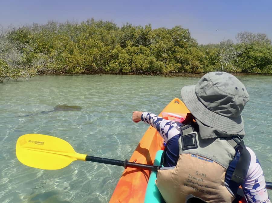 Exmouth: Half Day Turtle Kayak & Snorkel Tour - Getting ready with useful gear, not just the basics