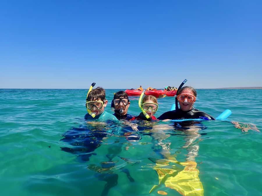 Exmouth: Half Day Turtle Kayak & Snorkel Tour - Paddle slowly and watch the shallows