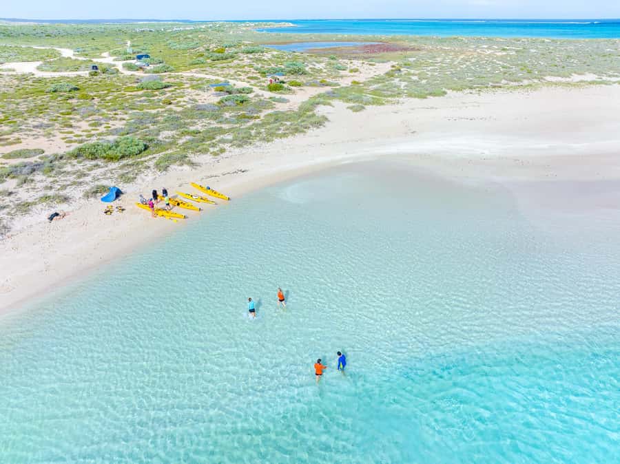 Exmouth: Lagoon Explorer - Full day kayak & Snorkel tour - What the guides add to the day