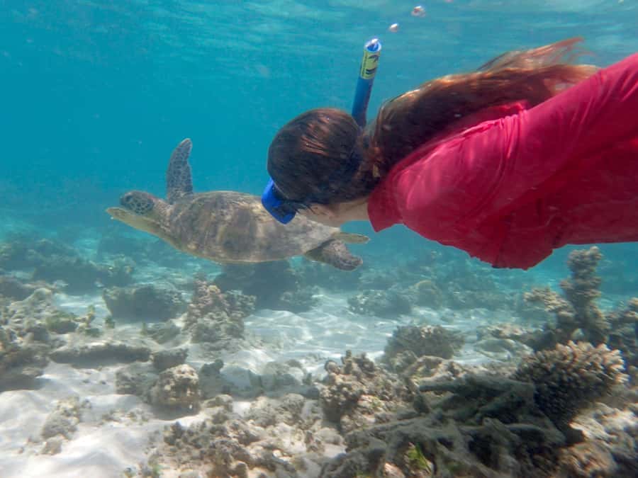 Exmouth: Lagoon Explorer - Full day kayak & Snorkel tour - Gear, clothing, and fitness
