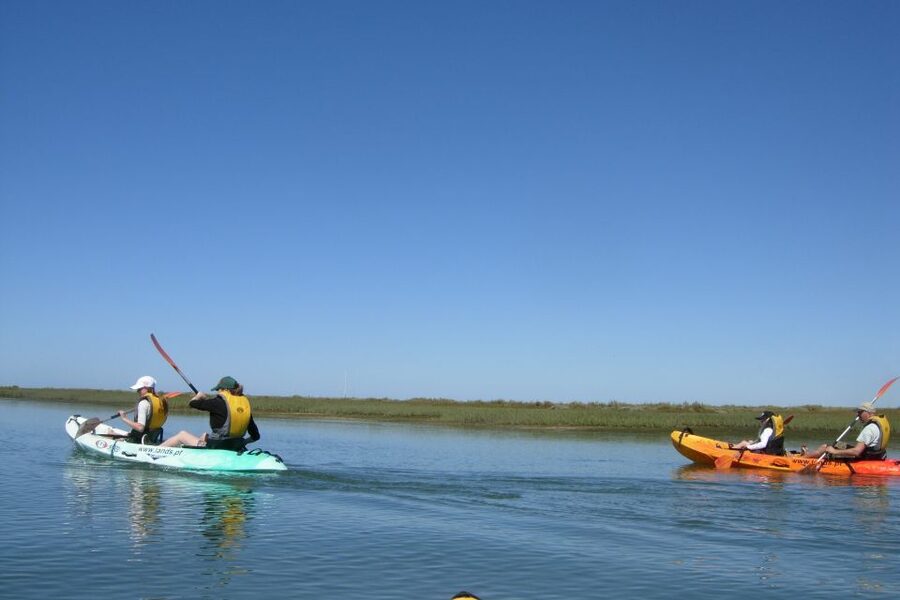 Faro: Kayak Hire in Ria Formosa Natural Park - Who should book this kayaking experience?