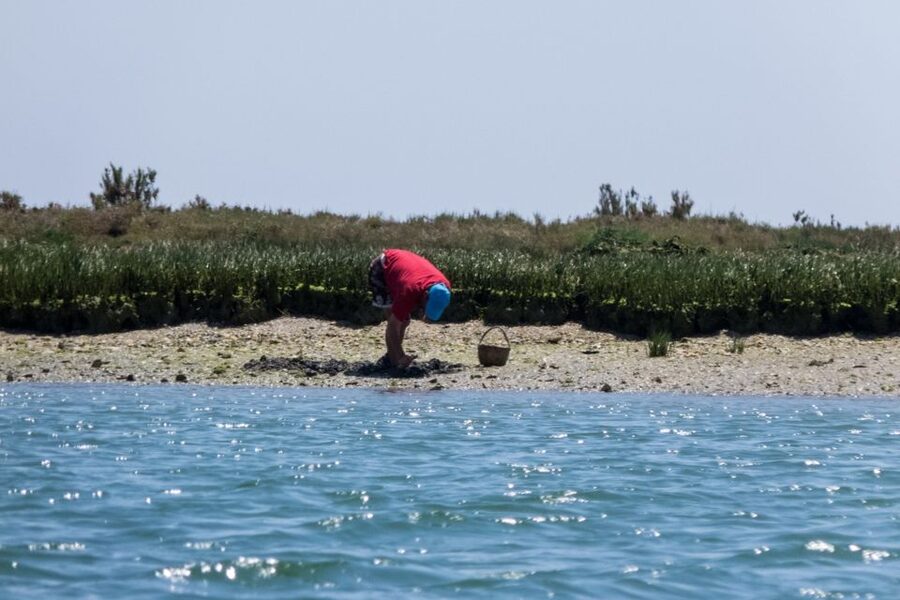 Faro: Kayak Hire in Ria Formosa Natural Park - What the safety briefing really matters for