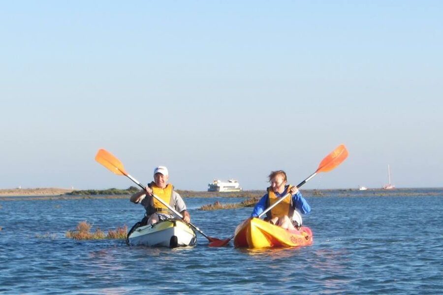 Faro: Kayak Hire in Ria Formosa Natural Park - Wildlife, water, and the small details