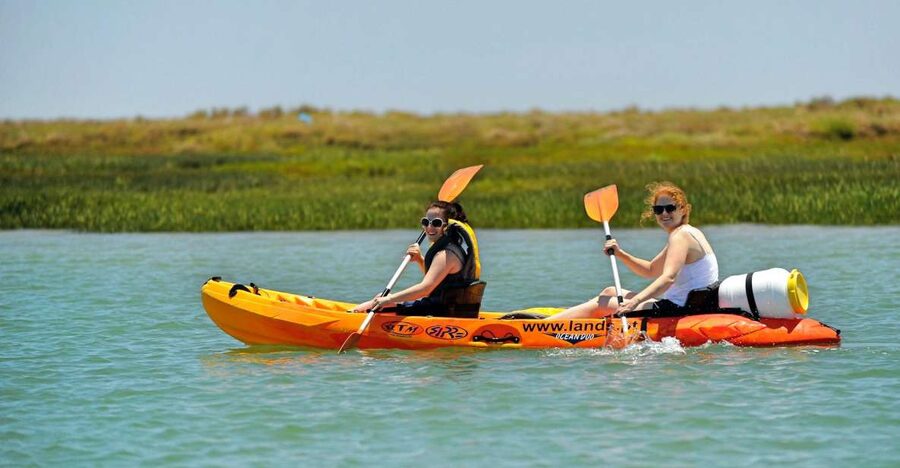 Faro: Kayak Hire in Ria Formosa Natural Park - Why the independent format suits some people