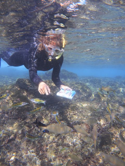 Flamingo Beach: Guided SUP and Snorkeling experience - A gentle introduction to SUP in Playa Blanca