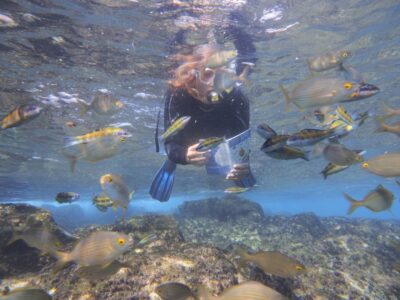 Guided SUP and Snorkeling experience