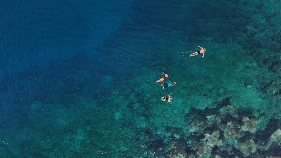 Flamingo Beach: Guided SUP and Snorkeling experience - Safety matters more than distance
