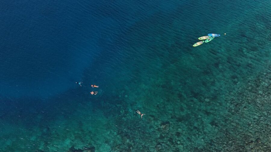 Flamingo Beach: Guided SUP and Snorkeling experience - Photos, videos, and the small practical extras