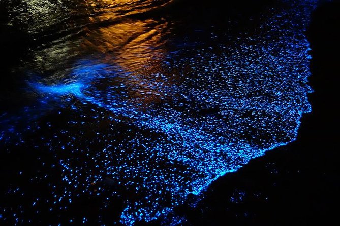 Florida Bioluminescence Kayaking Tour (Titusville) - Starting at Haulover Canal