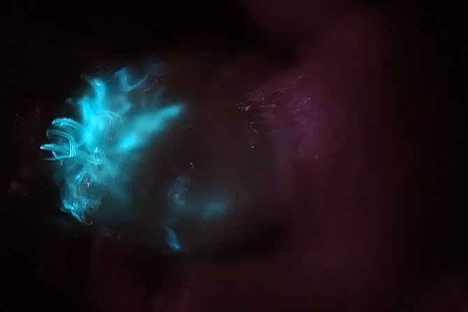 Florida Bioluminescence Kayaking Tour (Titusville) - Stars, insects, and the dark side of the experience