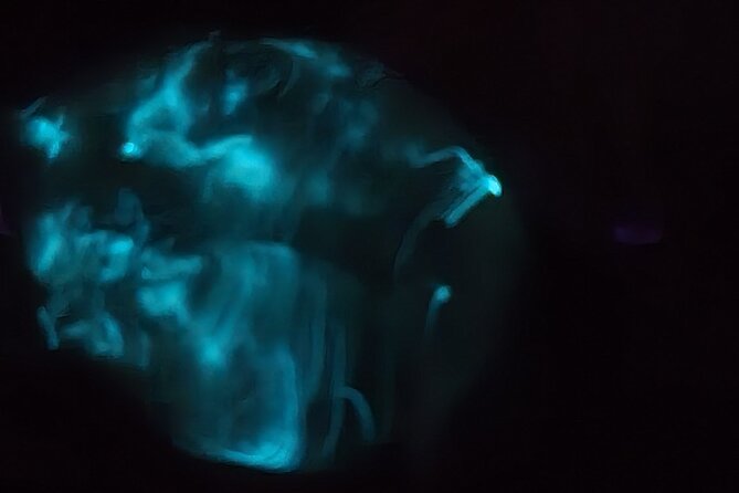 Florida Bioluminescence Kayaking Tour (Titusville) - Who will enjoy this tour most