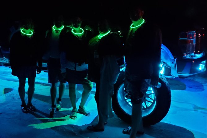 Florida Bioluminescence Kayaking Tour (Titusville) - Paddling into the blue