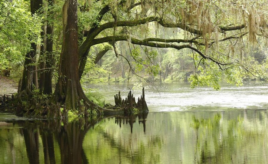 Florida Keys: Key West Kayak Eco Tour with Nature Guide - Wildlife sightings: exciting, but never guaranteed