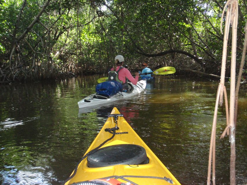 Florida Keys: Key West Kayak Eco Tour with Nature Guide - Who will enjoy this outing most?