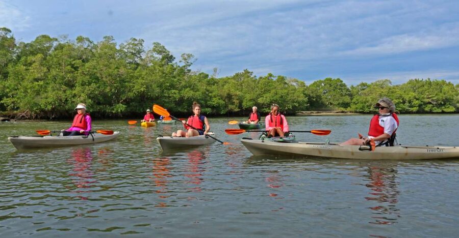 Florida Keys: Key West Kayak Eco Tour with Nature Guide - Why the mangroves matter